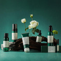 Lotion rafraichissante Tea Tree