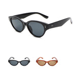 Lunettes de soleil allongée noire ou marron Large Frame