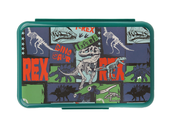Organiseur Cool DINOSAURE